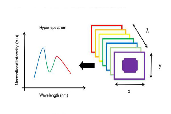 高光譜數(shù)據(jù)