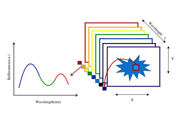 三維高光譜圖像及光譜